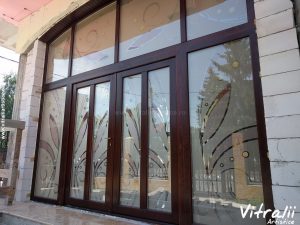 Geamuri Sablate Colorate Usi de exterior 10